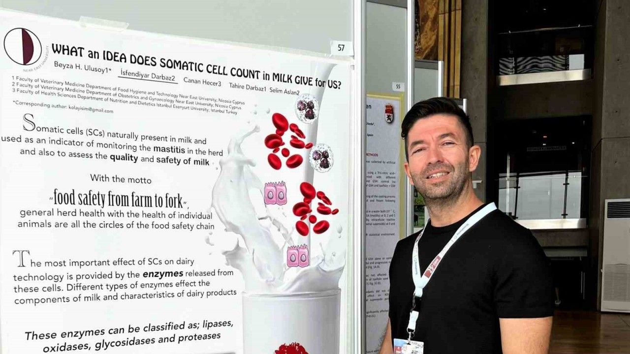 Salgına neden olan kedi koronavirüsü için PCR kiti geliştirildi