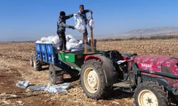 Araban Ovası'nda kuraklık ekimi 2 ay geciktirdi