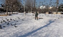 Gaziantep'te vatandaşlar kar ve güneşin tadını çıkardı