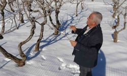 Kar yağışı Gaziantep'te çiftçinin yüzünü güldürdü