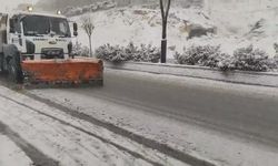 Şahinbey Belediyesi'nden kar yağışına anında müdahale