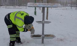 Şehitkamil sokak hayvanlarını unutmadı