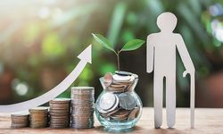 Bireysel Emeklilik Sistemi'nde devlet katkısı yüzde 20'ye düşürüldü