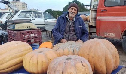 71 yaşında ekmeğinin peşinde