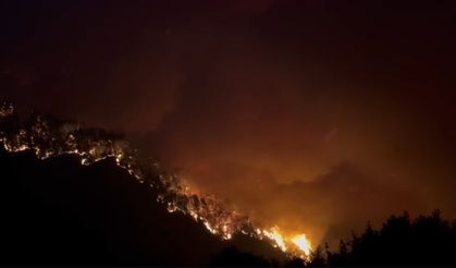Ulaştırma ve Altyapı Bakanı Abdulkadir Uraloğlu Yangın Bölgesinde