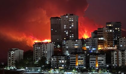 Bursa'da gecenin karanlığı yangının alevleriyle aydınlandı
