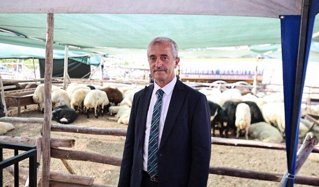 BAŞKAN TAHMAZOĞLU KURBAN FİYATLARINI AÇIKLADI