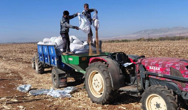 Araban Ovası'nda kuraklık ekimi 2 ay geciktirdi