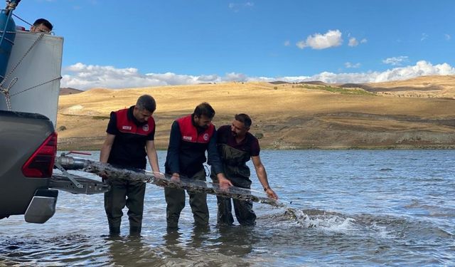 Türkiye nüfusu kadar balık deniz ve göllere bırakıldı