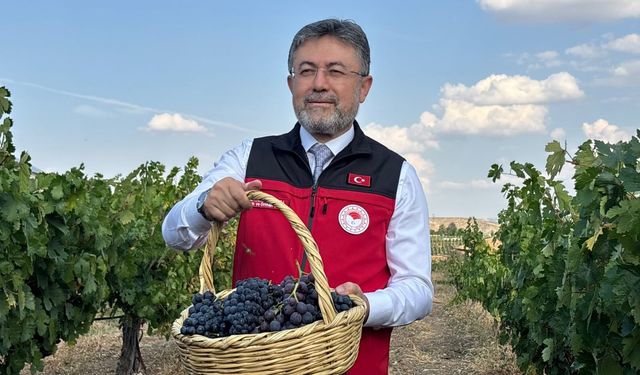 Bakan Yumaklı: "3 milyon 850 bin tonluk bir üzüm üretimi ülkemizde gerçekleşmiş olacak"