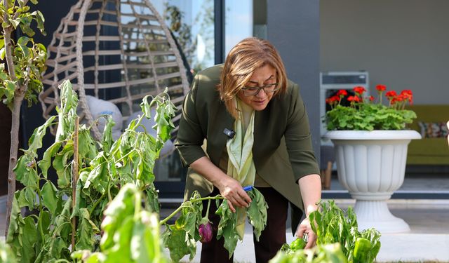BAŞKAN ŞAHİN, "BAHÇELİEVLER" PROJE ALANINDA ÖRNEK DAİRENİN TANITIMINI YAPTI