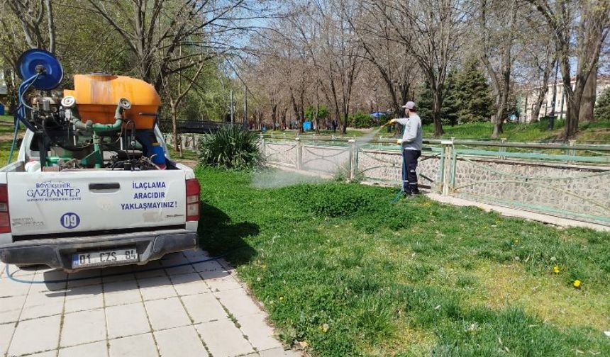 Gaziantep Büyükşehir, ilaçlama çalışmalarına yoğunlaştı