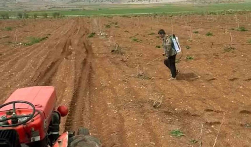 Araban'da Antep fıstığı tarlalarında yabancı otlarla ilaçlı mücadele