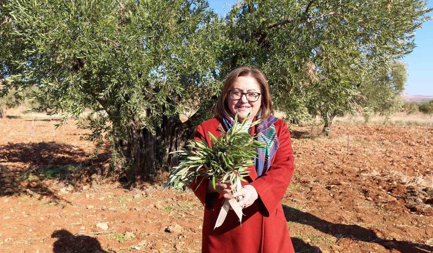 Gaziantep Büyükşehir'den Nizip'e tarımsal destek